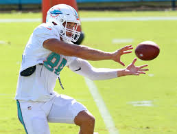 Miami Dolphins' improved TE depth could cost Gesicki snaps | Miami Herald
